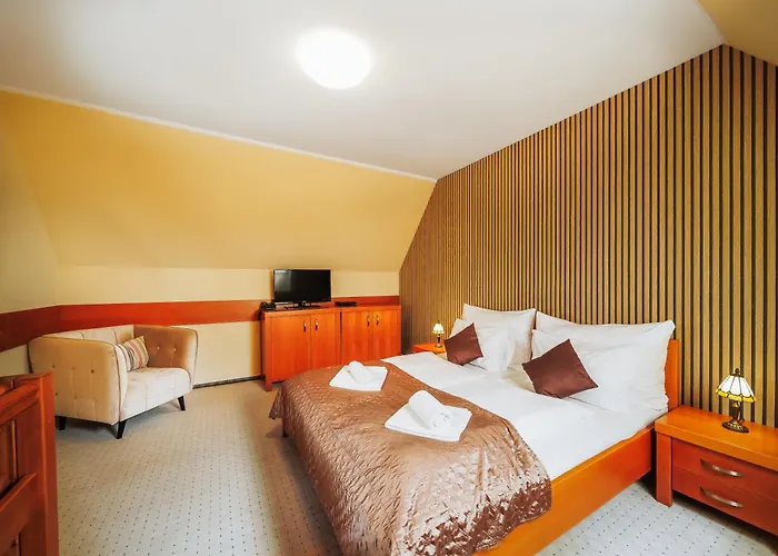 Hotel U Leva