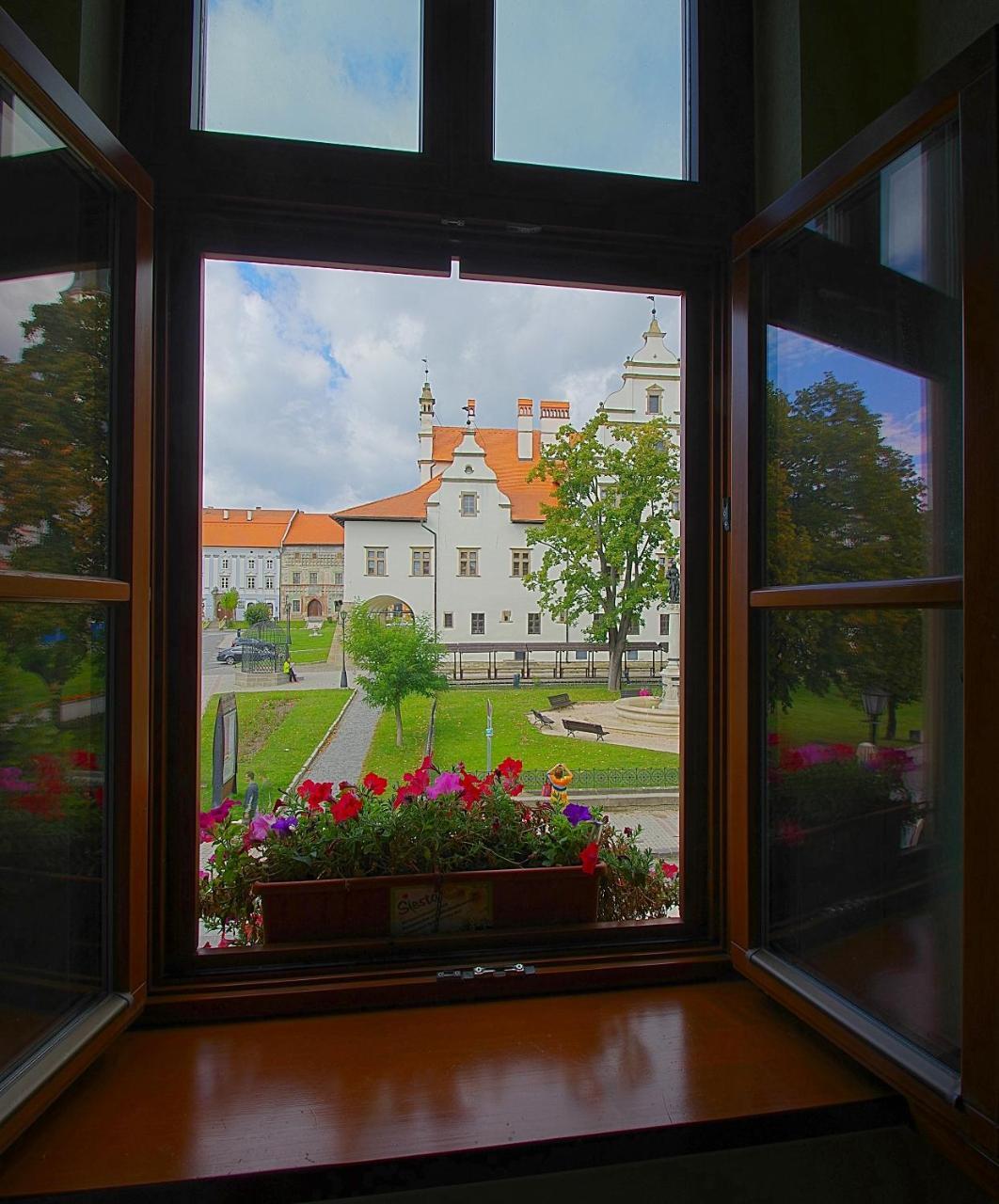 Hotel U Leva